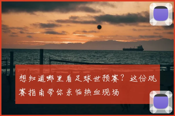 想知道哪里看足球世预赛？这份观赛指南带你亲临热血现场